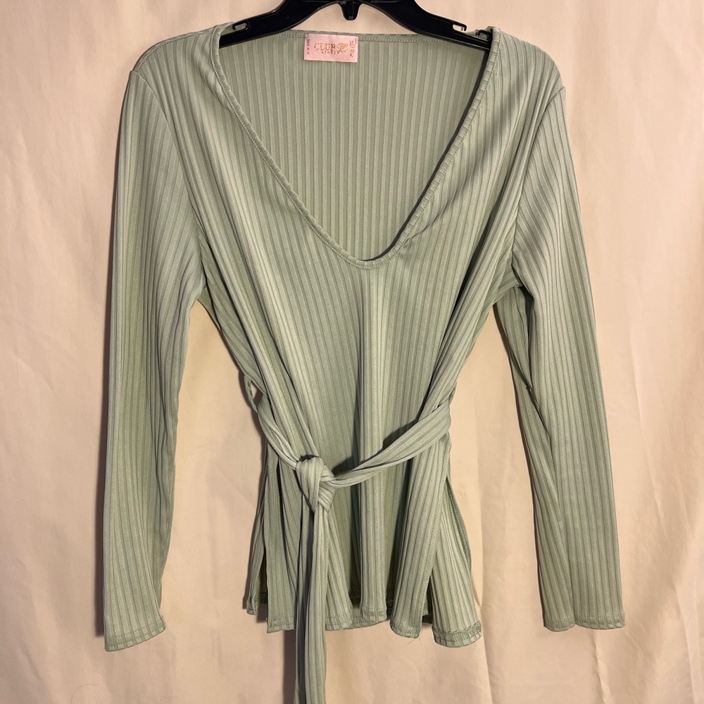 Sage green long sleeve plunge neck top